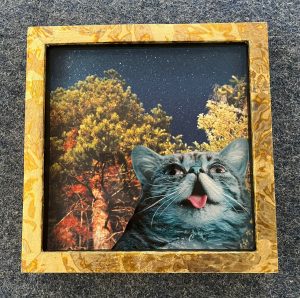 WhatsApp Bild 2025-05-19 um 13.18.57_25dd281e